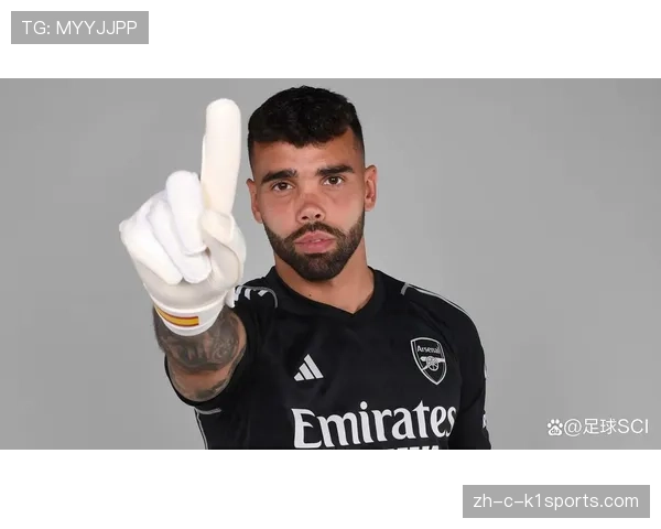 汉堡门将费尔南德斯入选半程最佳 身价百二十万